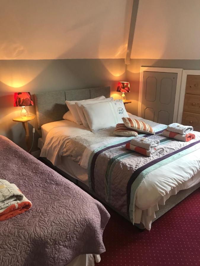 Aurora House Bed And Breakfast Athy Εξωτερικό φωτογραφία