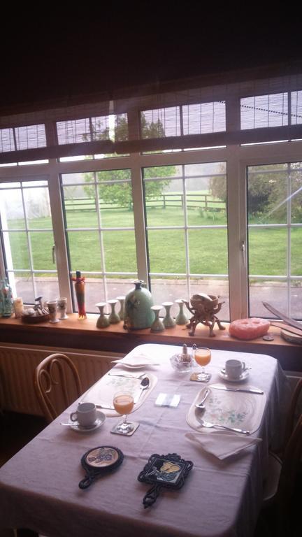 Aurora House Bed And Breakfast Athy Εξωτερικό φωτογραφία